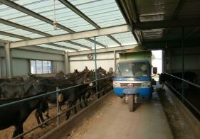 撒料車(chē)在驢場(chǎng)中的應(yīng)用