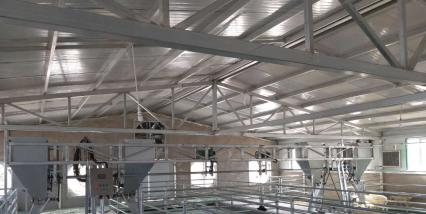 全自動肉羊飼喂機組-地軌式